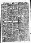 Clare Advertiser and Kilrush Gazette Saturday 19 February 1876 Page 3