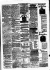 Clare Advertiser and Kilrush Gazette Saturday 19 February 1876 Page 5