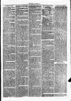Clare Advertiser and Kilrush Gazette Saturday 26 February 1876 Page 3