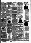 Clare Advertiser and Kilrush Gazette Saturday 04 March 1876 Page 5