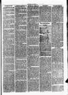 Clare Advertiser and Kilrush Gazette Saturday 11 March 1876 Page 3
