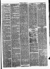 Clare Advertiser and Kilrush Gazette Saturday 25 March 1876 Page 3