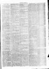 Clare Advertiser and Kilrush Gazette Saturday 29 April 1876 Page 3