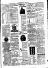 Clare Advertiser and Kilrush Gazette Saturday 29 April 1876 Page 5