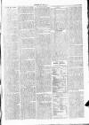 Clare Advertiser and Kilrush Gazette Saturday 13 May 1876 Page 3