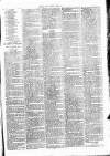 Clare Advertiser and Kilrush Gazette Saturday 13 May 1876 Page 7