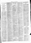 Clare Advertiser and Kilrush Gazette Saturday 27 May 1876 Page 7