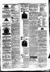 Clare Advertiser and Kilrush Gazette Saturday 03 June 1876 Page 5