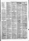 Clare Advertiser and Kilrush Gazette Saturday 10 June 1876 Page 7