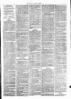 Clare Advertiser and Kilrush Gazette Saturday 17 June 1876 Page 7