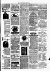 Clare Advertiser and Kilrush Gazette Saturday 12 August 1876 Page 5