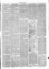 Clare Advertiser and Kilrush Gazette Saturday 09 September 1876 Page 3