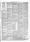 Clare Advertiser and Kilrush Gazette Saturday 09 September 1876 Page 7