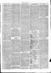 Clare Advertiser and Kilrush Gazette Saturday 23 September 1876 Page 3