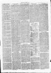 Clare Advertiser and Kilrush Gazette Saturday 14 October 1876 Page 3