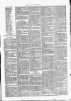 Clare Advertiser and Kilrush Gazette Saturday 21 October 1876 Page 7