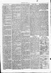 Clare Advertiser and Kilrush Gazette Saturday 28 October 1876 Page 3