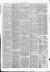 Clare Advertiser and Kilrush Gazette Saturday 04 November 1876 Page 3