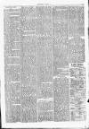 Clare Advertiser and Kilrush Gazette Saturday 11 November 1876 Page 3