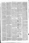 Clare Advertiser and Kilrush Gazette Saturday 18 November 1876 Page 3