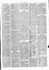 Clare Advertiser and Kilrush Gazette Saturday 25 November 1876 Page 3