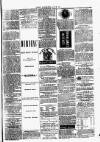 Clare Advertiser and Kilrush Gazette Saturday 25 November 1876 Page 5