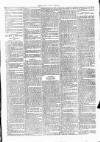 Clare Advertiser and Kilrush Gazette Saturday 25 November 1876 Page 7