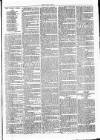 Clare Advertiser and Kilrush Gazette Saturday 06 January 1877 Page 7