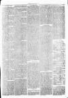 Clare Advertiser and Kilrush Gazette Saturday 20 January 1877 Page 3