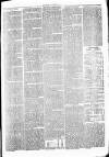 Clare Advertiser and Kilrush Gazette Saturday 27 January 1877 Page 3
