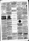 Clare Advertiser and Kilrush Gazette Saturday 27 January 1877 Page 5