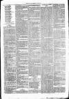 Clare Advertiser and Kilrush Gazette Saturday 27 January 1877 Page 7