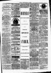 Clare Advertiser and Kilrush Gazette Saturday 10 February 1877 Page 5