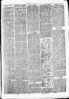 Clare Advertiser and Kilrush Gazette Saturday 03 March 1877 Page 3