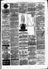 Clare Advertiser and Kilrush Gazette Saturday 03 March 1877 Page 5