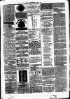 Clare Advertiser and Kilrush Gazette Saturday 17 March 1877 Page 5