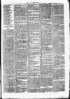 Clare Advertiser and Kilrush Gazette Saturday 17 March 1877 Page 7