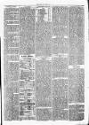 Clare Advertiser and Kilrush Gazette Saturday 24 March 1877 Page 3