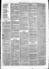 Clare Advertiser and Kilrush Gazette Saturday 24 March 1877 Page 7