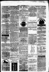 Clare Advertiser and Kilrush Gazette Saturday 31 March 1877 Page 5