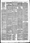 Clare Advertiser and Kilrush Gazette Saturday 31 March 1877 Page 7
