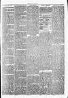 Clare Advertiser and Kilrush Gazette Saturday 07 April 1877 Page 3