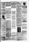 Clare Advertiser and Kilrush Gazette Saturday 14 April 1877 Page 5