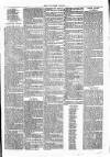 Clare Advertiser and Kilrush Gazette Saturday 14 April 1877 Page 7