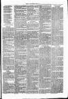 Clare Advertiser and Kilrush Gazette Saturday 28 April 1877 Page 7
