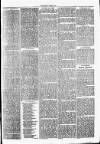 Clare Advertiser and Kilrush Gazette Saturday 05 May 1877 Page 3
