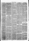 Clare Advertiser and Kilrush Gazette Saturday 19 May 1877 Page 3