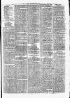 Clare Advertiser and Kilrush Gazette Saturday 19 May 1877 Page 7