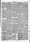 Clare Advertiser and Kilrush Gazette Saturday 09 June 1877 Page 2
