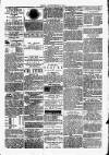 Clare Advertiser and Kilrush Gazette Saturday 09 June 1877 Page 4